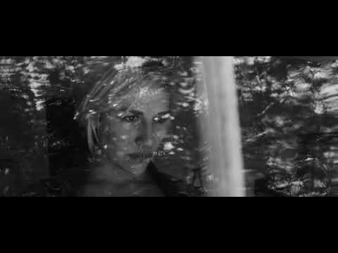 Felix Rösch — Humming Bird Rework (Official Video)