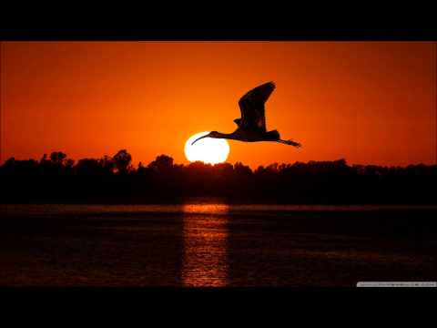 Andrew Rayel - Musa (Original Mix)