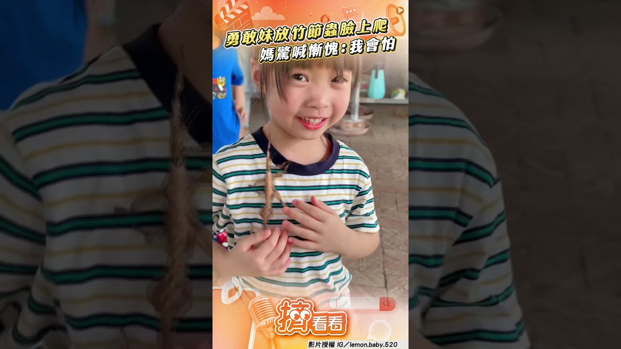 影音／萌妹超大膽放竹節蟲「臉上爬」　媽驚喊「慚愧」嘆：我會怕