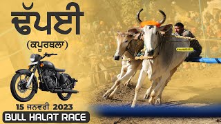 Dhapai (Kapurthala) Ox Halat Race 15 Jan 2023