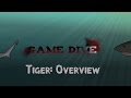 Tiger Overview Depth By GameDive