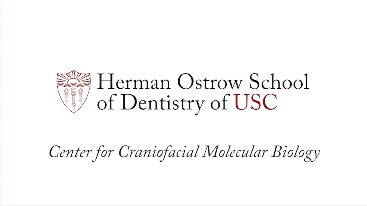 USC - Janet Oldak - Faculty Video