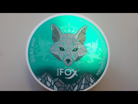 WHITE FOX SNUS DOUBLE MINT 16MG NICOTINE SALT DIP REVIEW FROM NORTHERNER