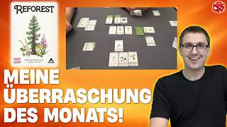 Reforest - Mein persönliches HIGHLIGHT des Monats!