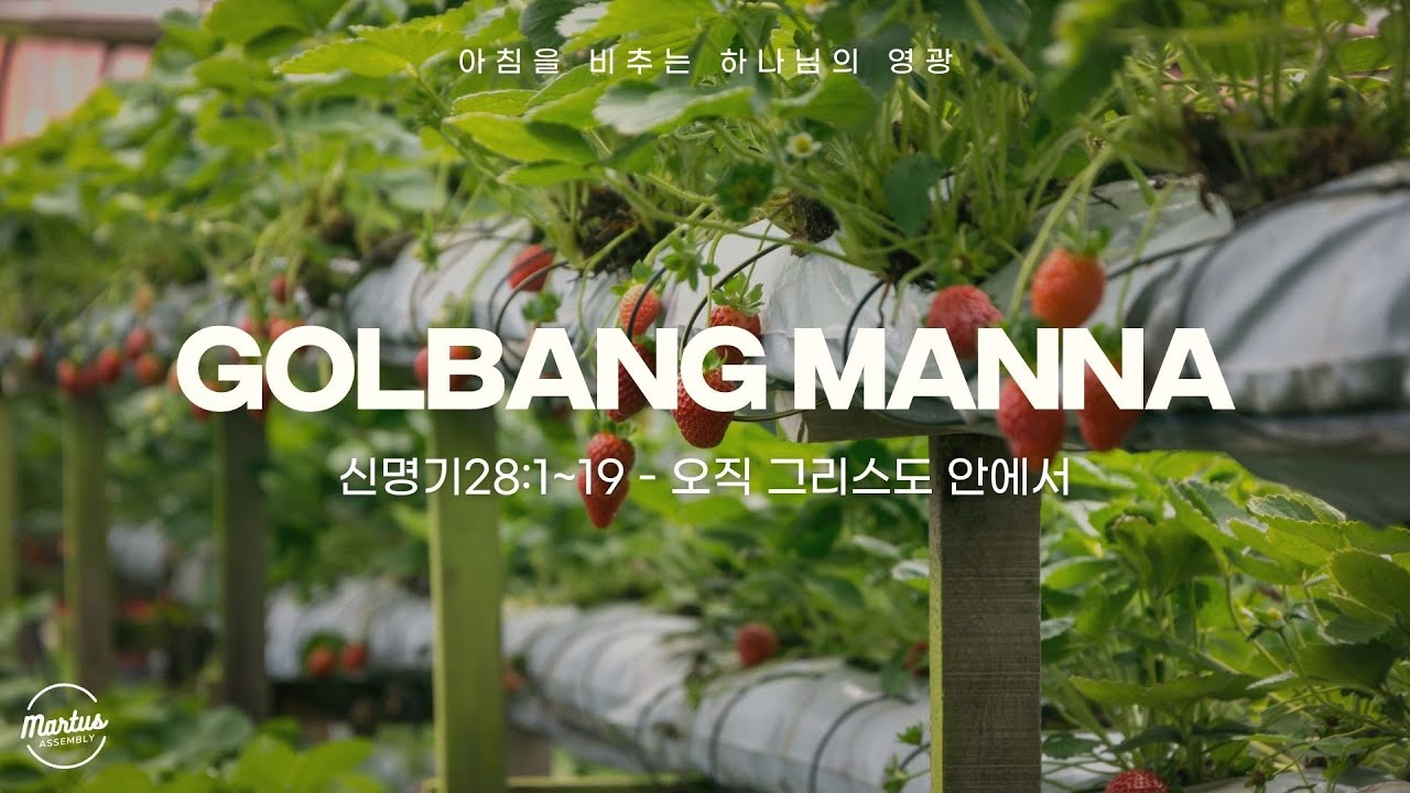 유투브 썸네일
