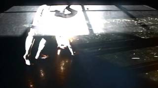 Molly Stamell Video