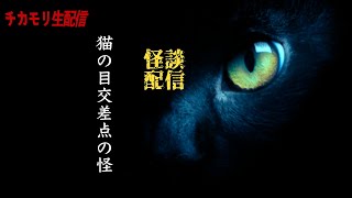 生配信『実話怪談猫の目交差点の怪』