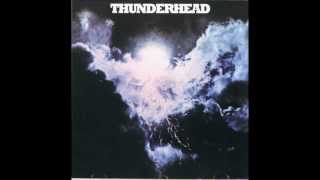 Thunderhead - Busted in Georgia