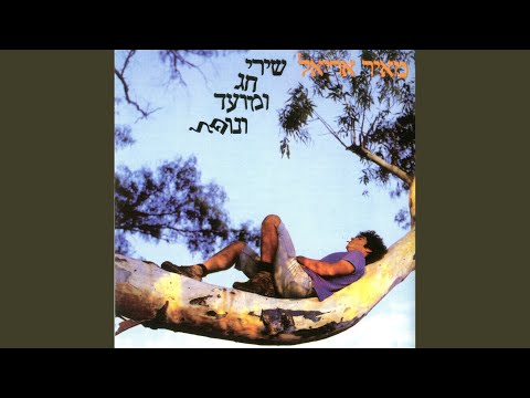 Video thumbnail for Tipesh Haham - טיפש חכם