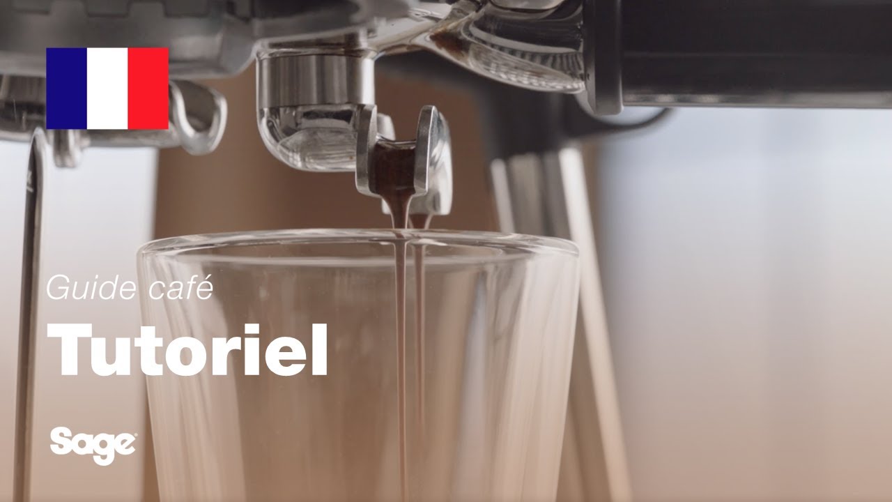 Guide didactique du café Breville - Équilibrer votre extraction