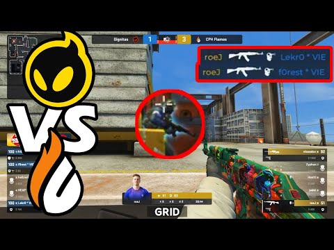 Dignitas VS CPH Flames Match Highlights | CSGO Highlights | CSGO Best Moments | (Hallzerk, Zyphon )