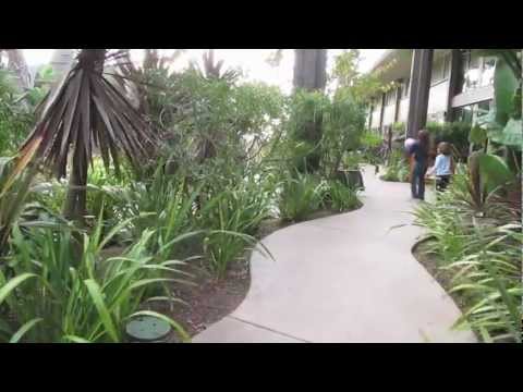 Home Made Short Films # 7 (Movie) San Diego Mission Bay Hyatt