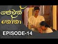 Gajaman Nona ගජමන් නෝනා Episode 14 Rupavahini Teledrama
