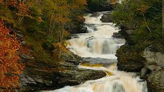 Pick Me Up On Your Way Down by Charlie Walker - 1958 (with lyrics)