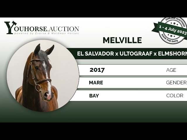 Melville @ show