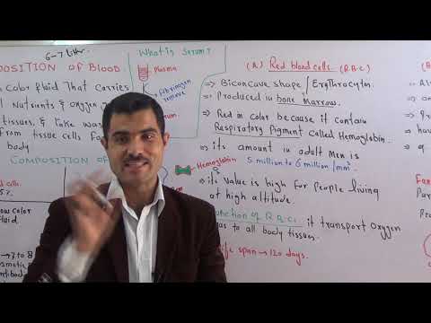 compostion of blood, types of blood cells and serum urdu Hindi by Dr Hadi