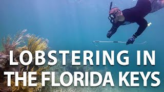 Lobstering in the Florida Keys with Kraken Aquatics