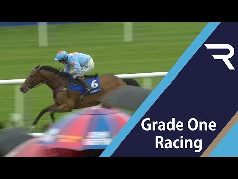 2019 BoyleSports Champion Chase - Racing TV