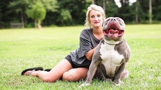 Mississippi Mom Is The $15,000 Pit Bull Queen