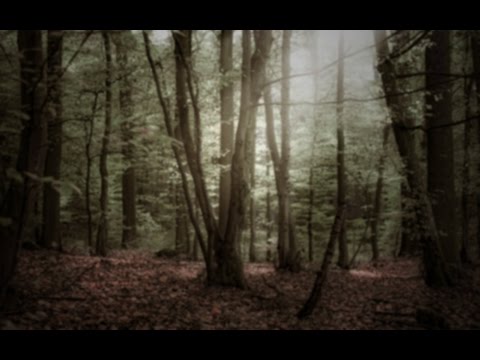 Denri - Hoshimiya Ruins