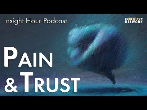 Joseph Goldstein on Pain and Trust – Insight Hour Ep. 136