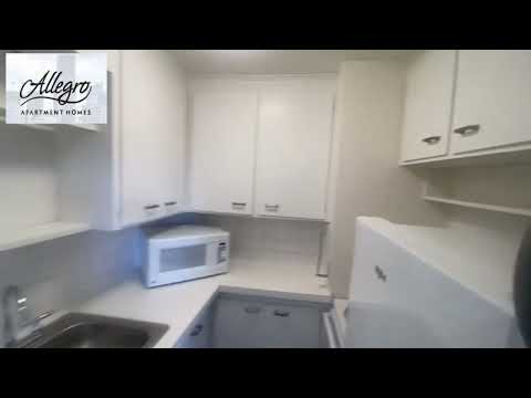 Allegro - Video 2 of 2