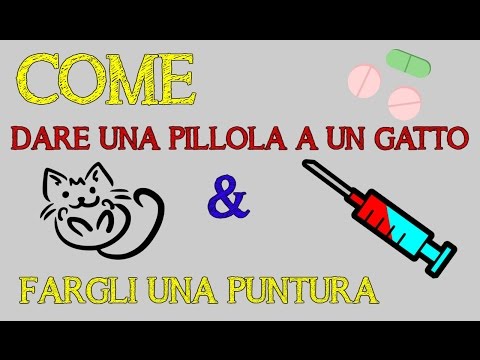 Codificazione anonima di alcool Smettere di bere la birra