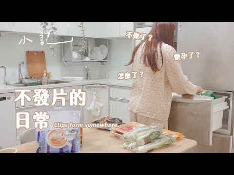 末楊
