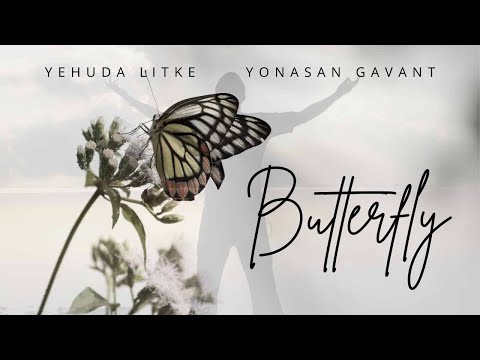 Butterfly ┃Yehuda Litke & Yonasan Gavant┃Cover for Abie Rotenberg & Shulem Lemmer