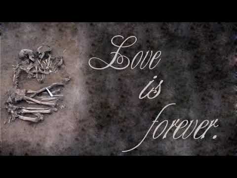 Funky & Rushee - Love is Forever. Reggae Refix (Official Audio.Prod by D-Box at Studio Melanesia)