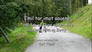 preview picture of video 'Emil tar imot sauer fra fjellet i Saltdal'