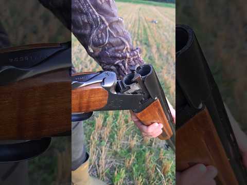 Baikal MP27-EM-1C over and under shotgun #shorts #short #shortsfeed