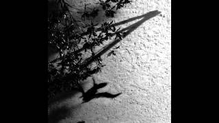 Max Richter | Shadow Journal