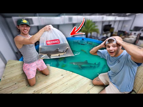 I Surprised Him with Most Dangerous Fish in The OCEAN!