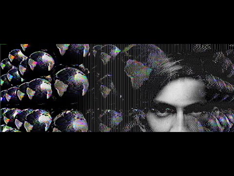 Realizacja MZx Studio