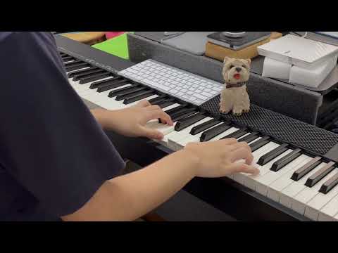 In the desolate hallways : Genshin Impact Song