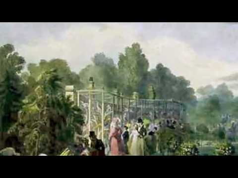 Saint Saens: Carnival of the Animals~Volieres (Aviary)