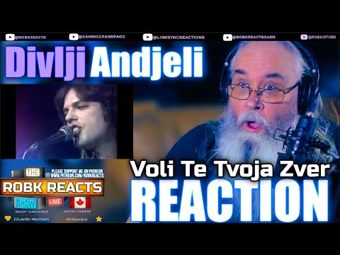Divlji Andjeli - Voli Te Tvoja Zver (1982) | First Time Hearing Reaction - Requested!