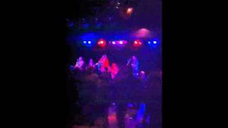 Miniature Tigers at the Crocodile