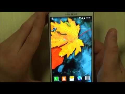 Autumn Leaves Live Wallpaper Video