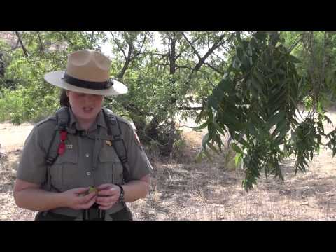 Fort Bowie National Historic Site