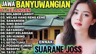 Download lagu MUSIK ANYAR LOR BANYUWANGIAN PENAK POL ADEM DI RUNGOK KE  GELAR OBKLOSO MU LORR mp3 Download lagu MUSIK ANYAR LOR BANYUWANGIAN PENAK POL ADEM DI RUNGOK KE  GELAR OBKLOSO MU LORR mp3