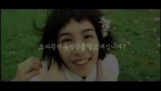 웰컴 투 동막골