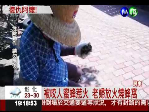 報復蜜蜂! 老婦火燒蜂窩吃下肚