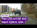 'Ik schrok me kapot', paard springt voor lesauto