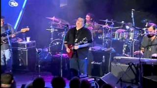 Los Lobos - That Train Don&#39;t Stop Here