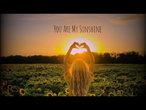 You are my sunshine [Christina Perri] 30 Second English Lyric Video| Whatsapp status Lyric Video