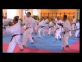 Bunkai Kata Bassai Sho Miguel Gómez Nacarino