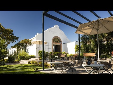 Leeu Passant - an introduction to our Vineyards and Winery