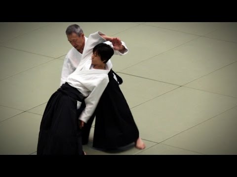 Aikikai Aikido - Sato Katsuhiko Shihan - 54th All Japan Aikido Demonstration (2016)